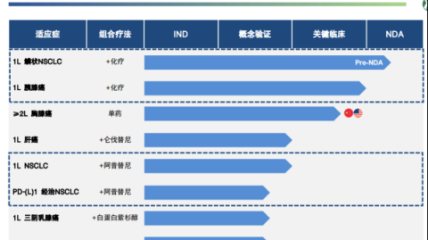 GEO跨行业实战解码：财税、装修、制造业的差异化内容布局策略